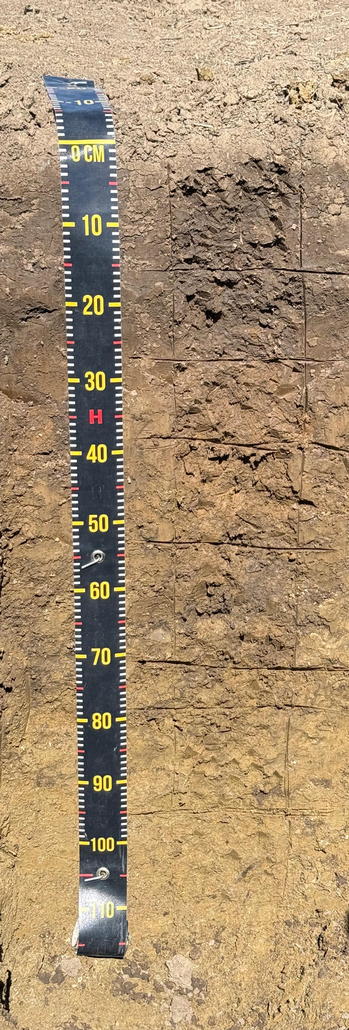 Profil P2 — Cucuteni